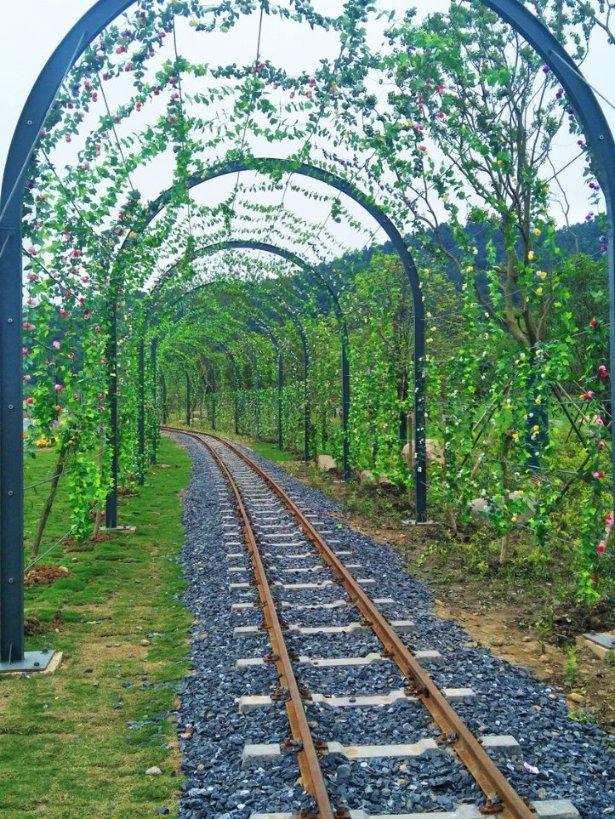 听劝 春节假期去日照就走这条路