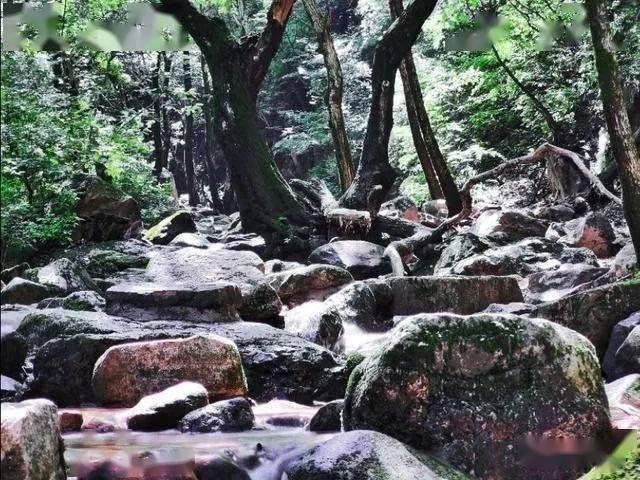 嵩山少林寺为河南上分！一起来探索禅武合一的佛教圣地！